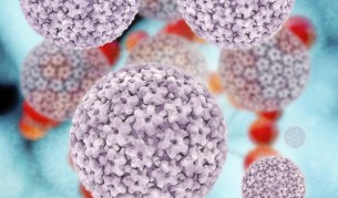 Тест на урина открива ЧПВ