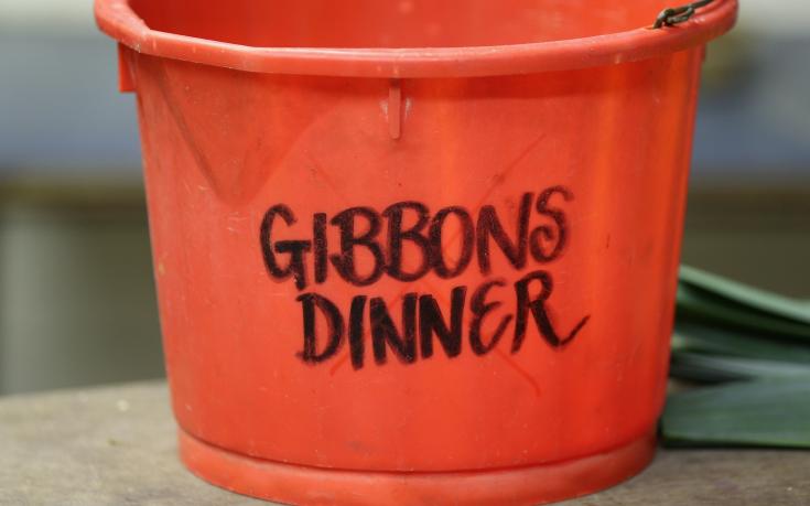 ВИДЕО: Опасностите на аматьорския футбол