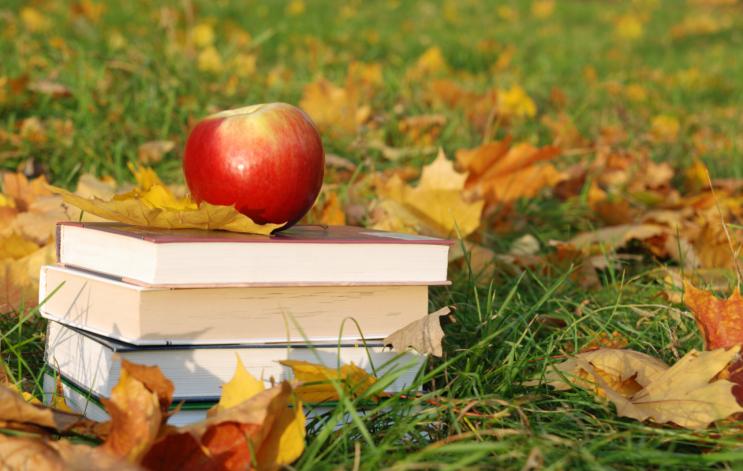 Любимите очарования на есента - снимка 7