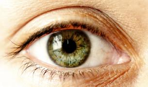 Специални стволови клетки лекуват слепота