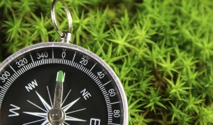 Земното магнитно поле е на път да смени поляритета си