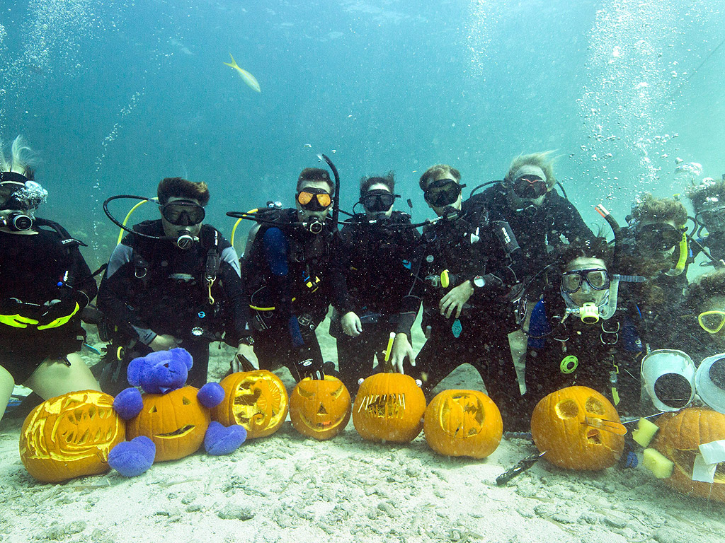 Участниците в подводен Карвинг конкурс позират със своите творения във Флорида, САЩ.