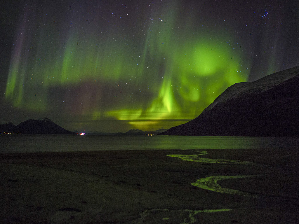 Северна светлина (Aurora borelias) се наблюдава в близост до град Тромсьо в Северна Норвегия