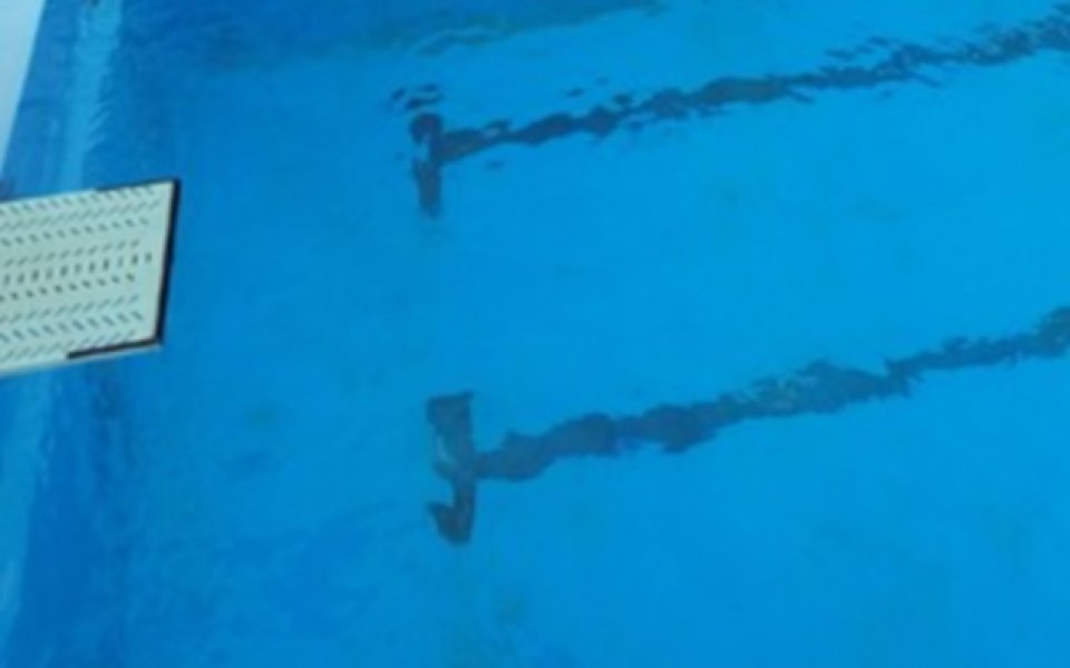 Българка с бронз в турнир по скокове във вода
