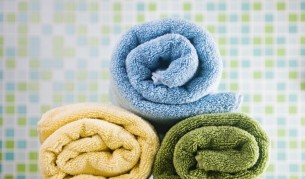 Колко са бактериите и насекомите у дома?