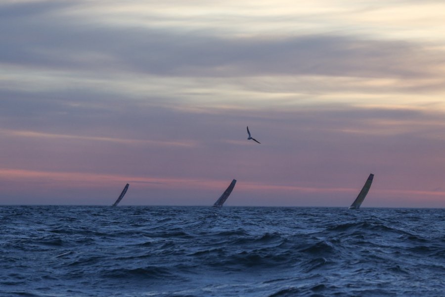 Volvo Ocean Race1