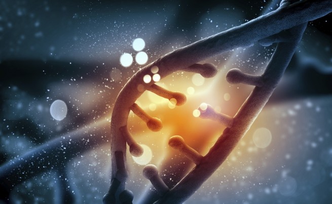 Методът за редакция на гени CRISPR се оказва рисков 