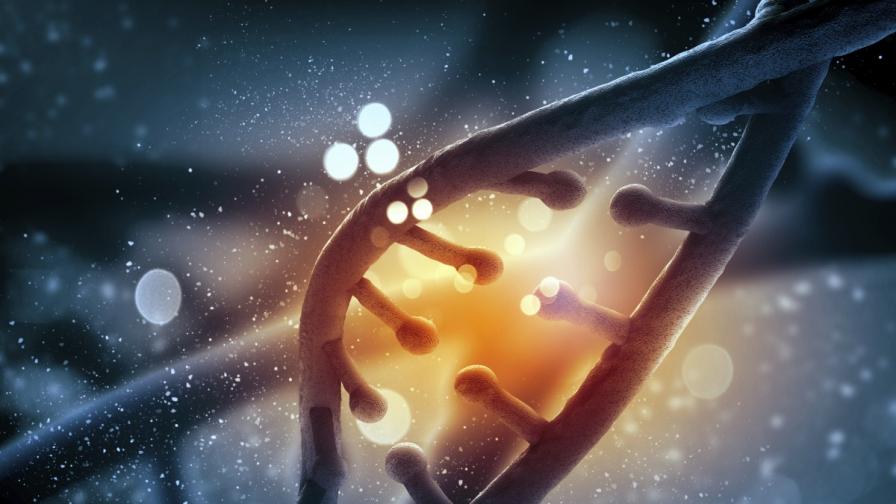 Учени лекуват рак с генномодифицирани клетки