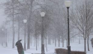 Сняг блокира Москва, десетки полети са отменени