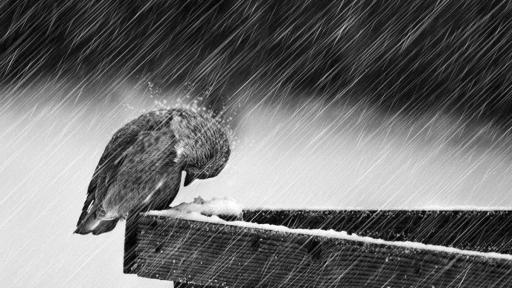 Подгответе се: НИМХ предупреждава за опасно време във вторник