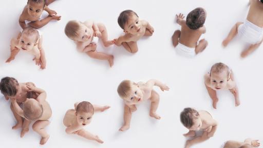  <p>Корона-бебетата от Киев</p> 