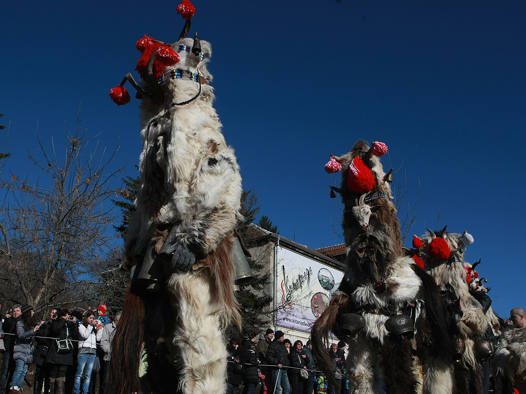 Фестивал Сурва 2015 Перник