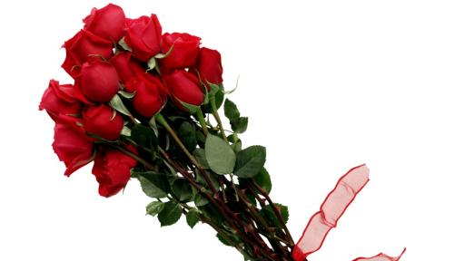 Тайният език на цветята – кое цвете е подходящо за всеки повод