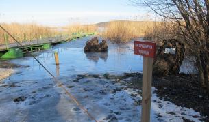 Сребърна