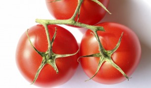 Пестицидите влияят зле върху мъжката плодовитост