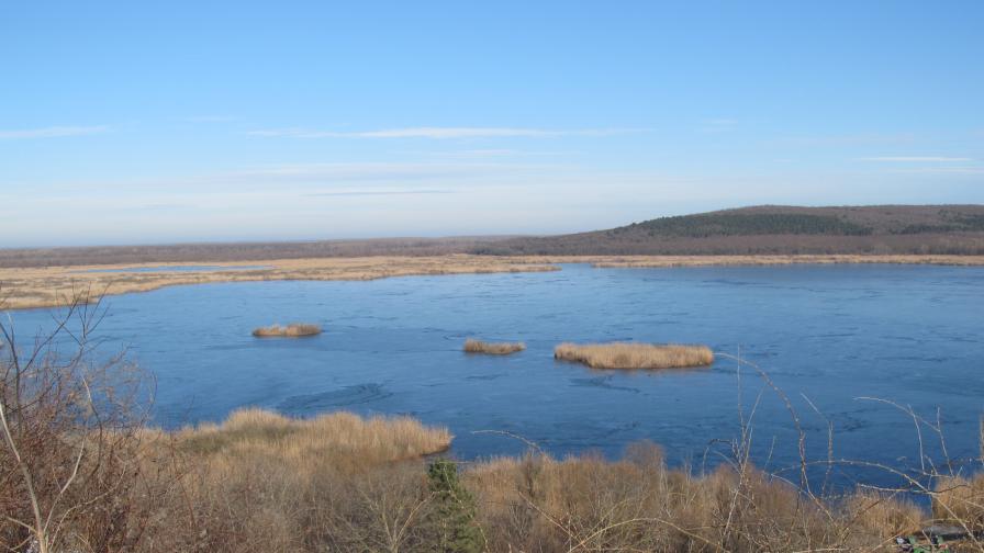 Части от езерото „Сребърна“ пресъхнаха заради ниското ниво на р. Дунав