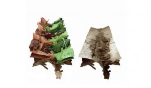 Учени: Раните се затварят като цип