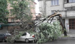Буря събори дърво върху лек автомобил