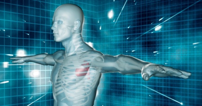 Американски лекари идентифицираха нов орган в човешкото тяло интерстициум Те се надяват че откритието ще помогне