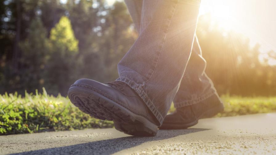 Германец ще извърви пеша 30 хиляди километра за благотворителна кауза