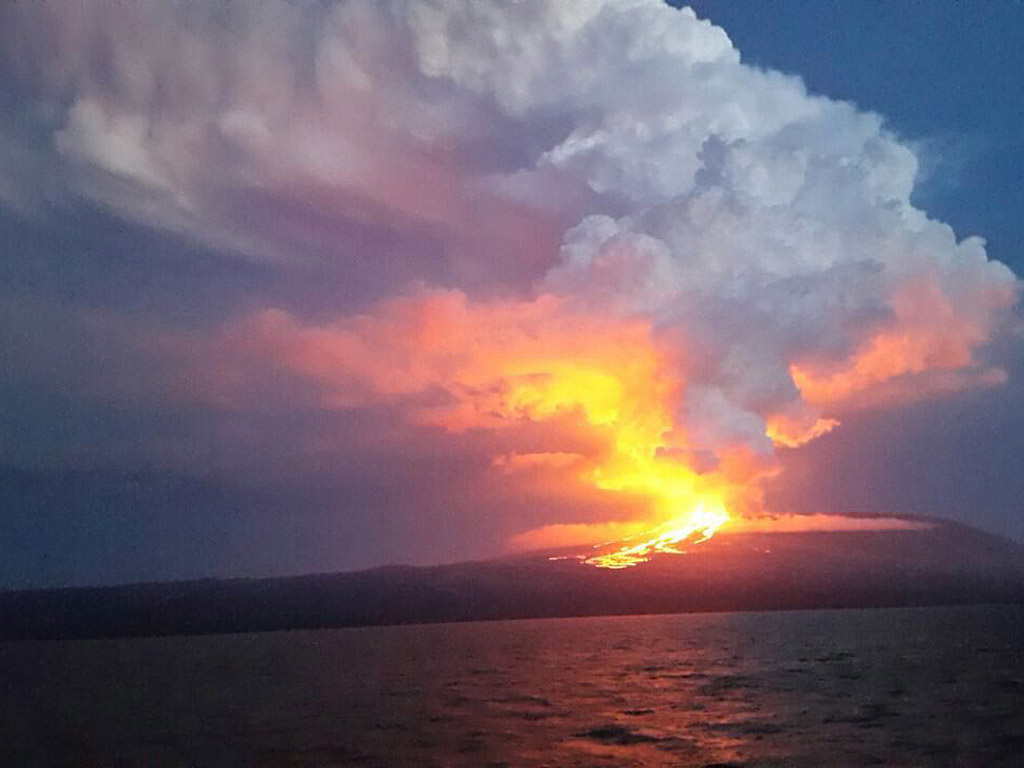 Снимка предоставена от Националния парк Галапагос, показваща изригването на вулкана Wolf, на остров Изабела, населен с розови игуани