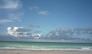 Затрупаното с пясък русначе излезе от кома