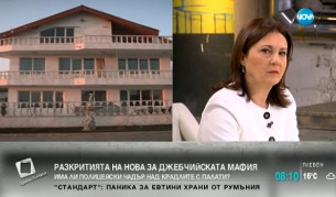 Бъчварова: Не изключвам политически чадър в Игнатиево
