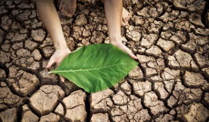 Промените в климата крият големи рискове за здравето ни