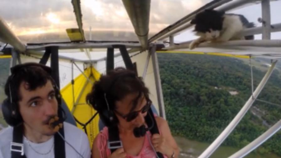 Хит в интернет: Котка лети с делтапланер (видео)