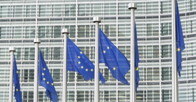 Европейската комисия с нов коментар за кравата Пенка Животното се