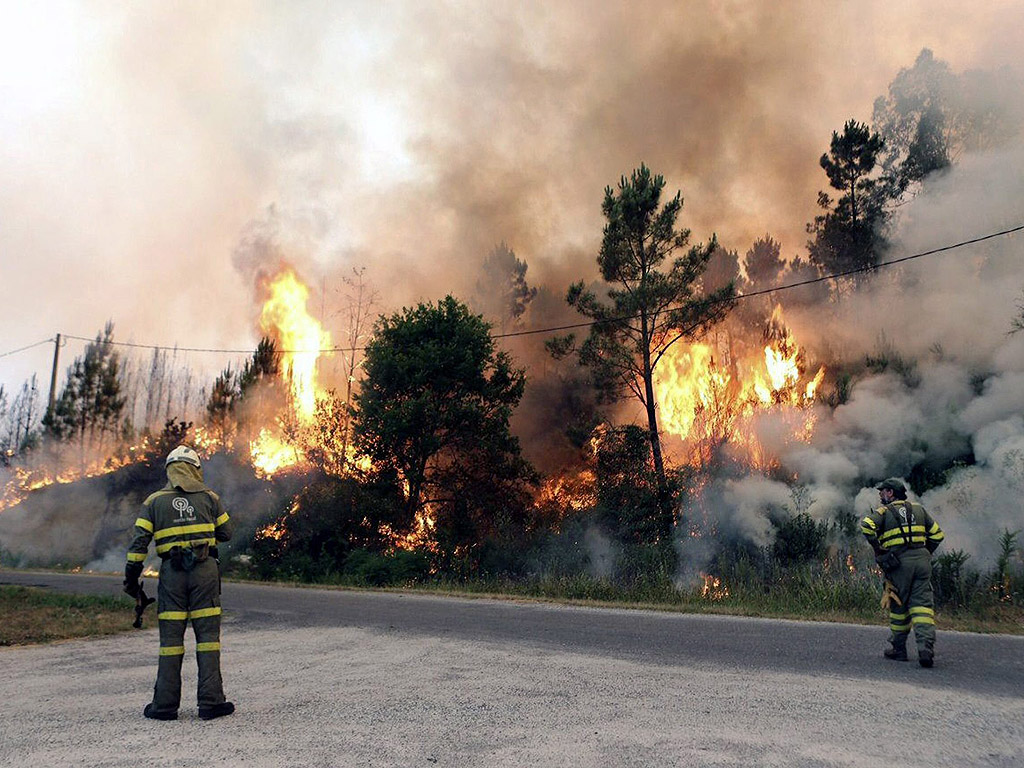 Пожарникари се опитват да се справят с пожар, който досега е изгорил повече от четиридесет хектара гори, в община Боборас в Оренсе, Испания