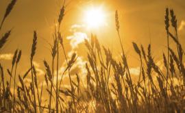  <p>Опасно горещо време над цяла България днес</p> 