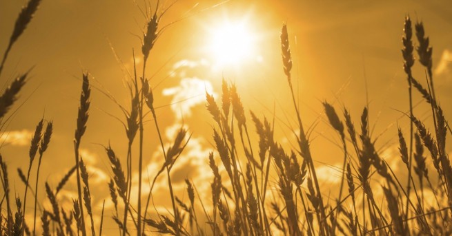 Пожарите бедствията градушките и жегите са проявление на глобалното затопляне