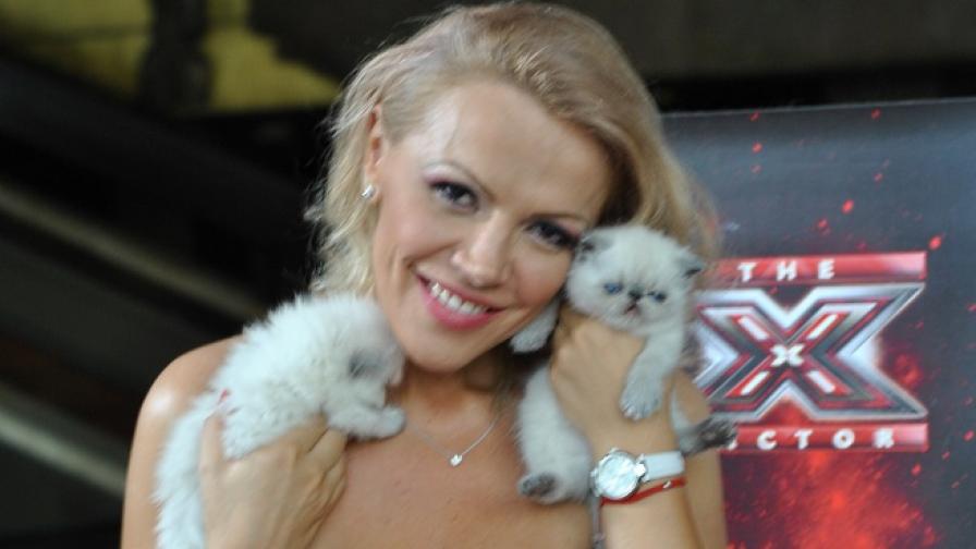 Дама с котки-шампиони, мечтае за трофея на X Factor