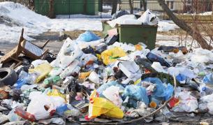 В мексикански град: Арестувани за свинщина