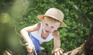 Катеренето по дървета подобрява паметта