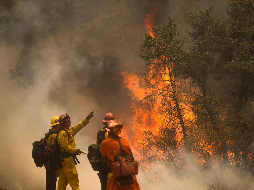 Хиляди огнеборци се борят с над 20 големи горски пожари, които вилнеят в американския щат Калифорния. Губернаторът Джери Браун обяви извънредно положение. Горещината и сушата затрудняват работата на пожарникарите