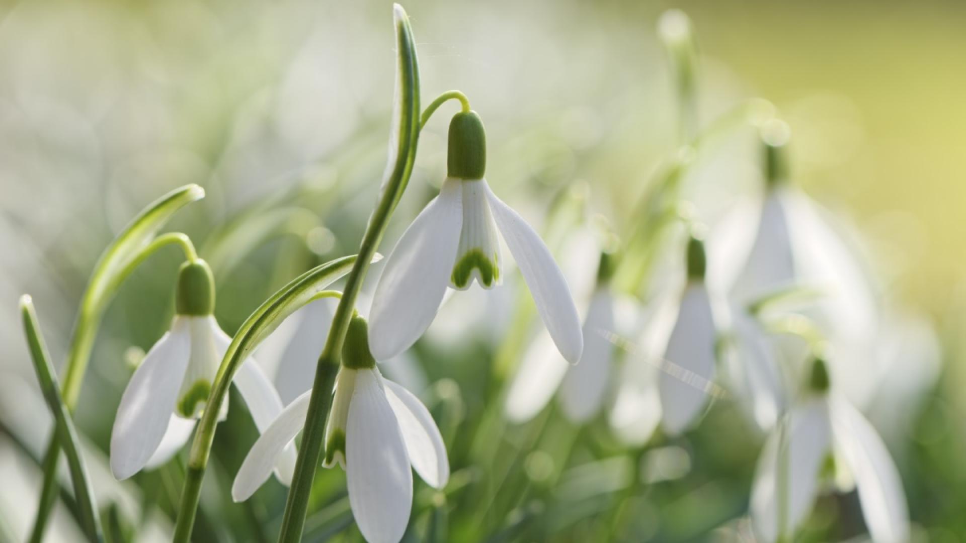 През нощта ще бъде ясно и почти тихо В сутрешните