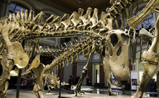 Пет неща, които не знаете за динозаврите (видео)