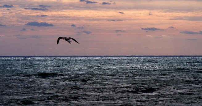 Морето е изхвърли тялото на момиче на плажа до бар