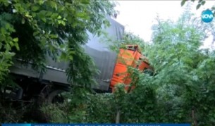 Тир влезе в двора на къща