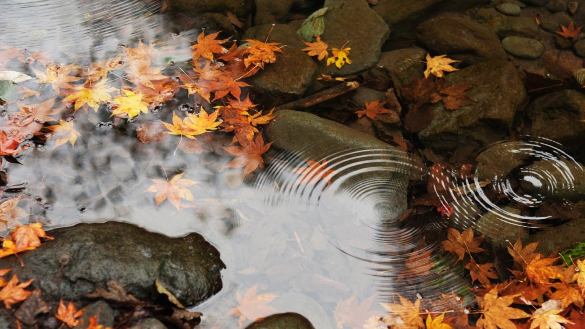 За последния работен ден за седмицата отново има предупреждение за