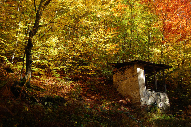 Есенна гора край Ардино