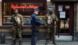 Полицията в Белгия почерпи котките с храна в „Туитър“