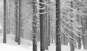 Мъж почина от студ в Пазарджик