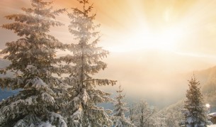 Минус 21 градуса са показали термометрите в Кнежа