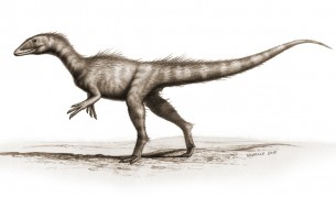 Рисунка на дракораптор