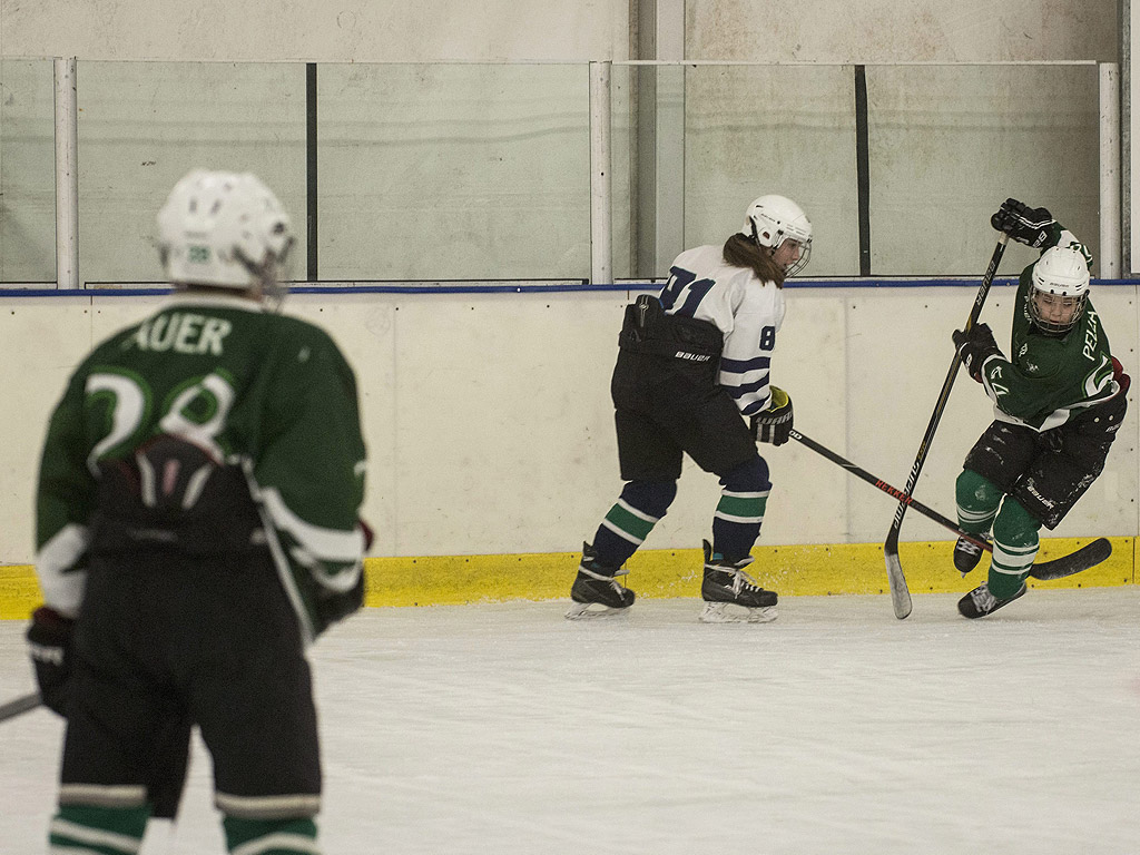 Девет унгарски жени професионалисти, които преследват кариера в професии, доминирани от мъжете.