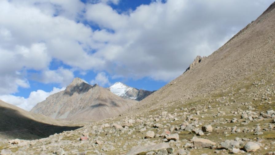  Откриха 28 антични непознати вируса в хладилник в Тибет 