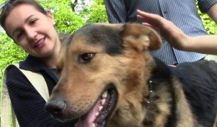 кучето Брейв